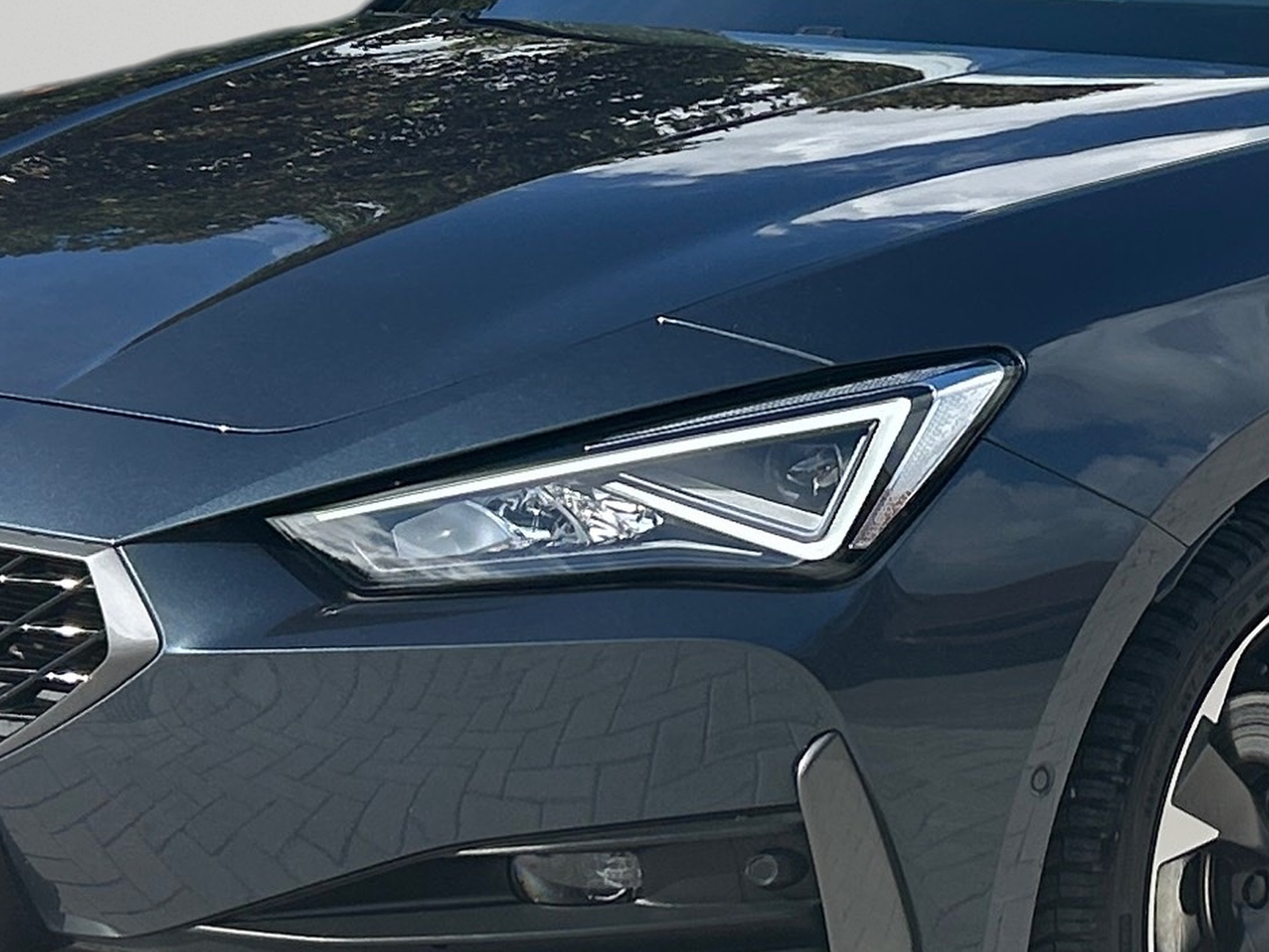 Cupra Leon Basis